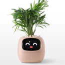 Ivy Smart Planter