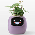 Ivy Smart Planter