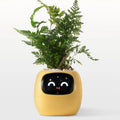 Ivy Smart Planter