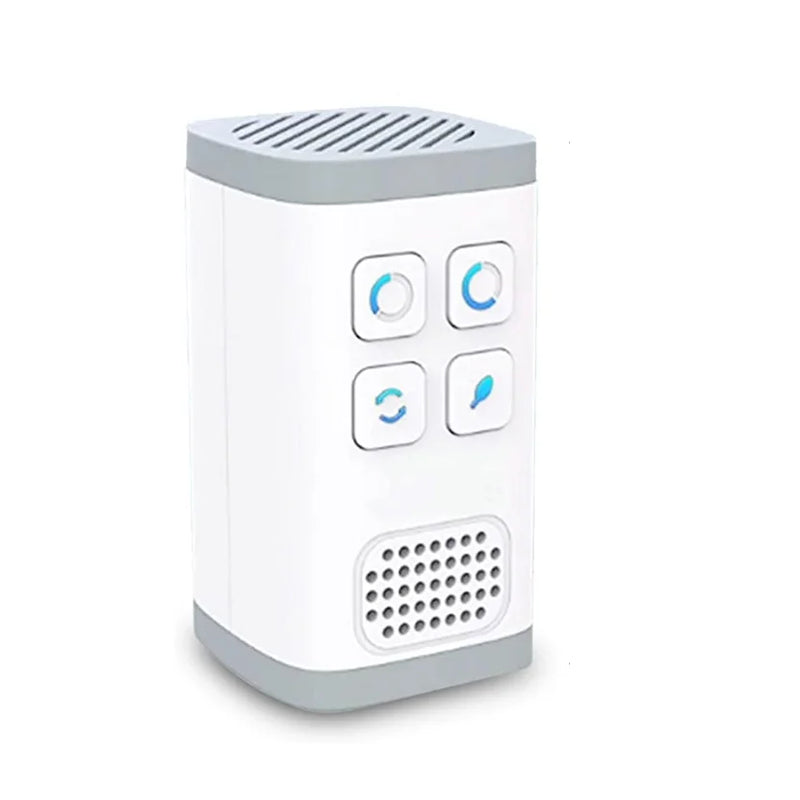 2-in-1 Mini Ozone & Anion Air Purifier